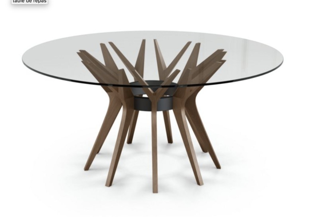 Aster,ROCHE BOBOIS