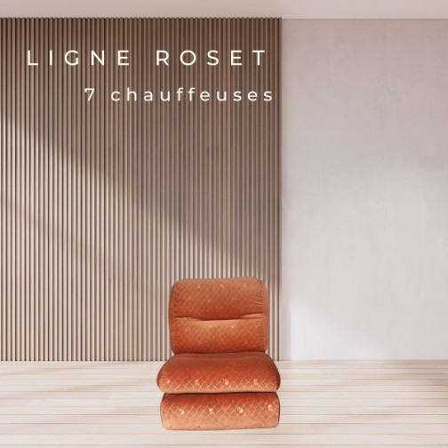 Albany,Ligne Roset,Michel Ducaroy(5)