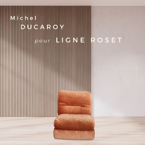 Albany,Ligne Roset,Michel Ducaroy(6)