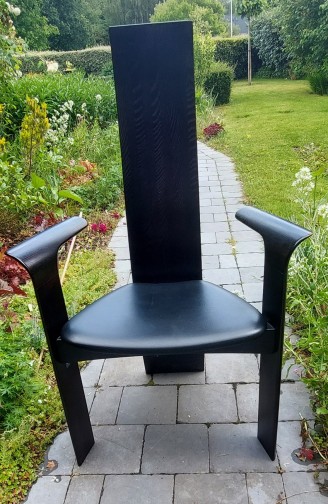 chaises & fauteuils design bois et cuir,ROCHE & BOBOIS(6)